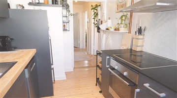 Photo 5. Apartment, Reberbanegade, København S 