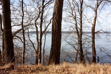 Photo 34. House, Kaningårdsvej, Virum 