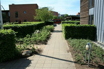 Photo 14. Apartment, Thrigesvej, Herning 