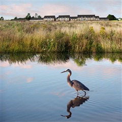 Photo 10. House, Mosegårdsvangen, Trige 