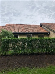 Billede 17. Hus/villa, Rantzausmindevej, Svendborg 