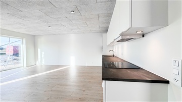 Billede 10. Hus/villa, Engen, Billund 