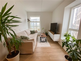 Billede 22. Lejlighed, Dag Hammarskjølds Gade, Aalborg 