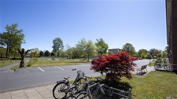 Billede 4. Lejlighed, Lindegårdsvej, Frederikshavn 