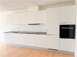 Billede 4. Hus/villa, Birksvej, Silkeborg 