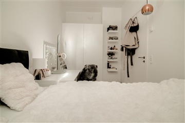 Photo 7. Apartment, Lagergade, København V 