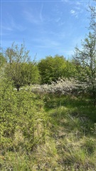 Photo 29. Apartment, Garnisonsvej, Farum 