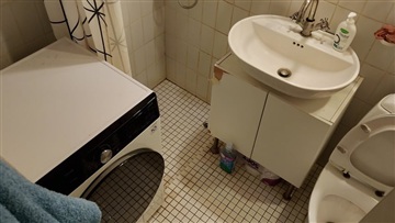 Photo 2. Room, Hostrups Have, Frederiksberg C 