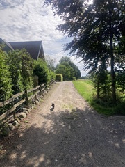 Photo 1. House, Herslevvej, Roskilde 