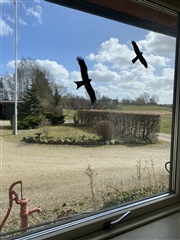 Photo 6. House, Herslevvej, Roskilde 