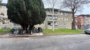 Photo 16. Apartment, Ordrupvej, Charlottenlund 