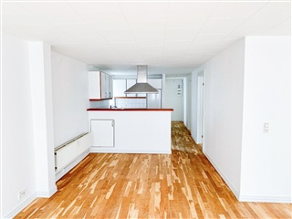 Photo 1. Apartment, Kattesundet, Aalborg 