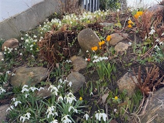 Photo 14. House, Merianvej, Hellerup 