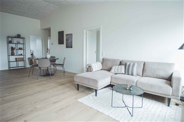 Billede 21. Hus/villa, Mariedalen, Silkeborg 