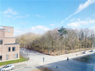 Billede 11. Lejlighed, Fyensgade, Aalborg 