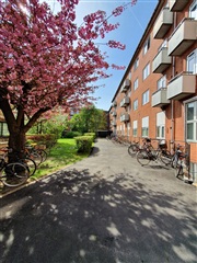 Billede 1. Lejlighed, Ålekistevej, Vanløse 