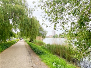 Photo 13. Apartment, , København V 