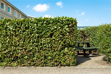 Photo 9. Apartment, Døesvej, Holstebro 