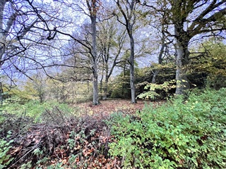 Photo 24. Apartment, Skeldalen, Vodskov 