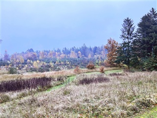 Photo 25. Apartment, Skeldalen, Vodskov 