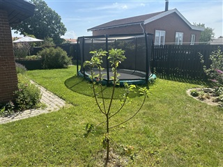 Billede 2. Hus/villa, Hyldetoften, Ballerup 