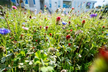 Billede 21. Lejlighed, Skrænten, Vejle Øst 