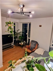 Photo 10. Room, Linus Paulings Vej, København SV 