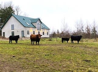 Photo 17. Apartment, Svenstrupvejen, Viby Sjælland 