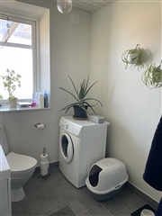 Photo 6. Apartment, Oddenvej, Sjællands Odde 