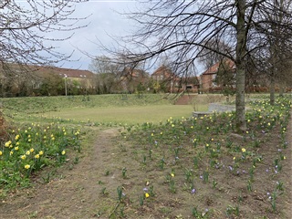 Photo 17. Apartment, Godthåbsvænget, Frederiksberg 
