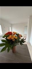 Photo 4. Apartment, Langegade, Kerteminde 