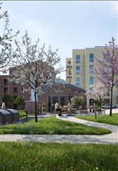 Photo 7. Apartment, Cikoriegade, Hedehusene 