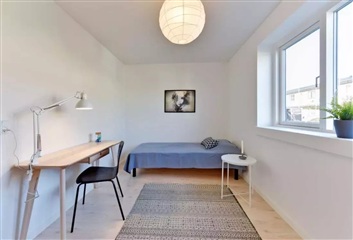 Photo 7. House, Skovmårvej, Hinnerup 