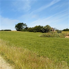 Photo 11. Apartment, Norgesvej, Thisted 