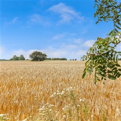 Photo 44. Apartment, Tingparken, Ørsted 
