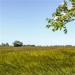 Photo 45. Apartment, Tingparken, Ørsted 