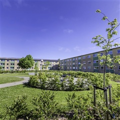 Photo 1. Apartment, Asagården, Holstebro 