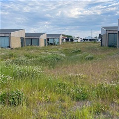 Photo 3. Apartment, Vesterhavsparken, Blokhus 