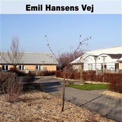 Photo 24. Apartment, Toftevej, Brovst 