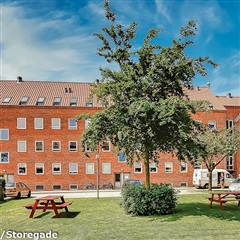 Photo 8. Apartment, Engparken, Esbjerg 