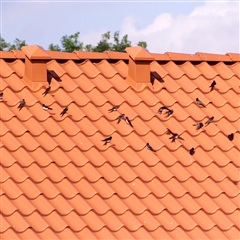 Photo 8. Apartment, Gammel Skørpingvej, Skørping 