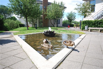 Photo 12. Apartment, Emiliedalsvej, Højbjerg 