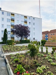 Photo 2. Apartment, Skovgade, Vejle 