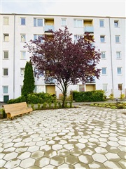 Photo 4. Apartment, Beriderbakken, Vejle 