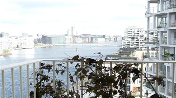 Photo 2. Apartment, Islands Brygge, København S 
