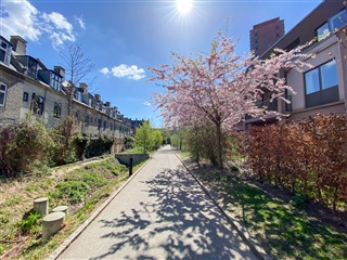 Photo 22. Apartment, Thorvald Bindesbølls Plads, København V 