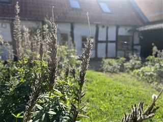 Billede 5. Hus/villa, Sct. Ibs Gade, Viborg 