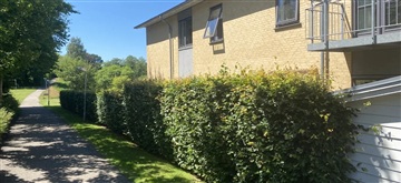 Photo 1. Apartment, Søndergade, Gjern 