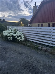 Photo 20. House, Vagtelvej, Næstved 