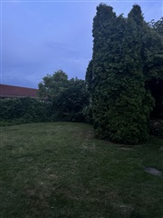 Photo 27. House, Vagtelvej, Næstved 